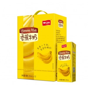 香蕉牛奶250ml礼品送礼礼盒学生成人12盒牛奶整箱批特价